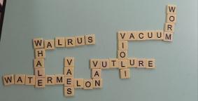 창의영어놀이(V,W 알파벳타일로 만들기)