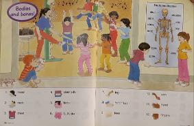 창의영어놀이(Bodies 낱말 12개 익히기)